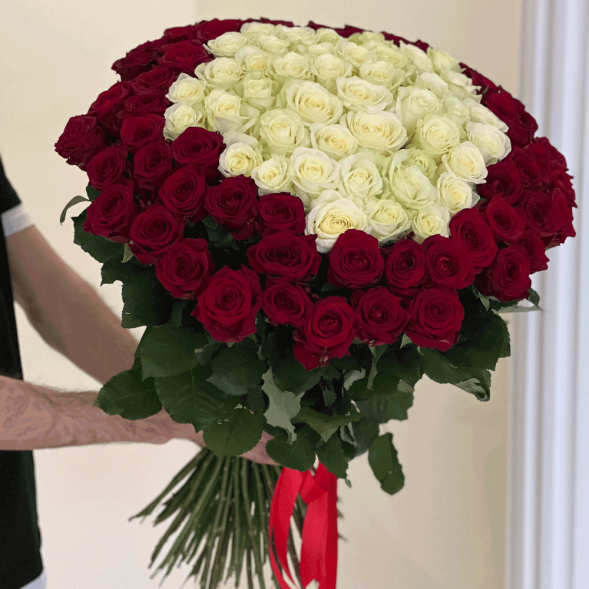 101 роза красная и в середине белая в Евпатории