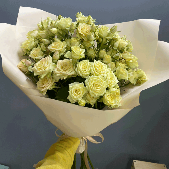 7 кремовых кустовых роз в Евпатории