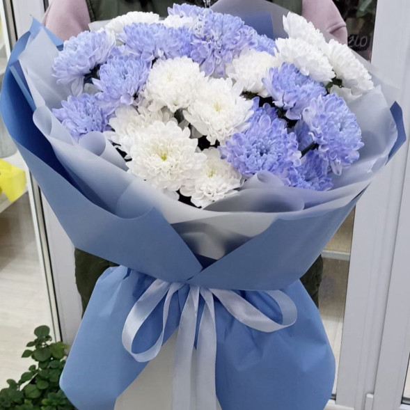 7 белых и голубых хризантем  в Евпатории