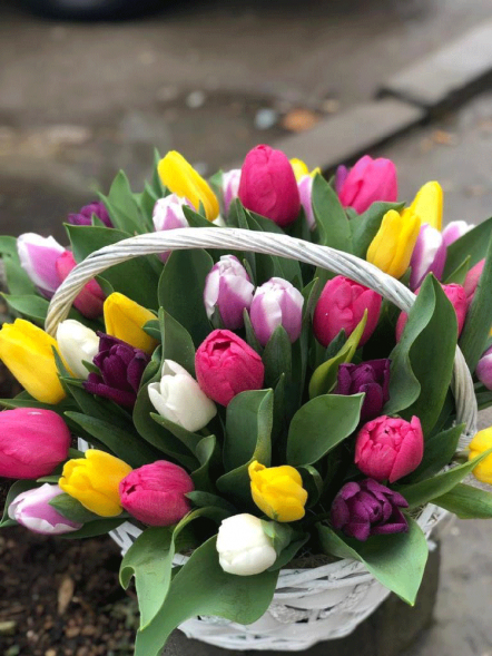 41 тюльпан микс в корзине в Евпатории