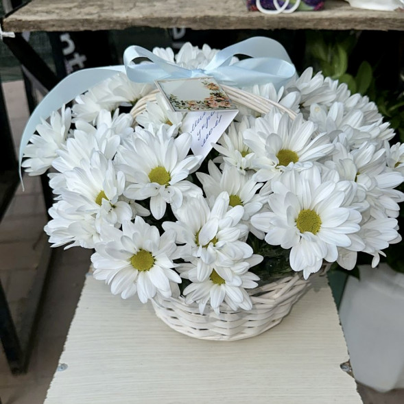 Композиция  «Хризантемы в корзине» в Евпатории