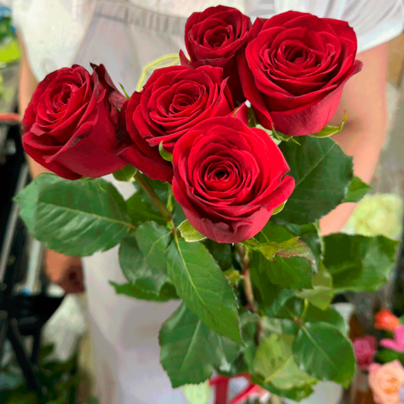 5 красных роз в Евпатории