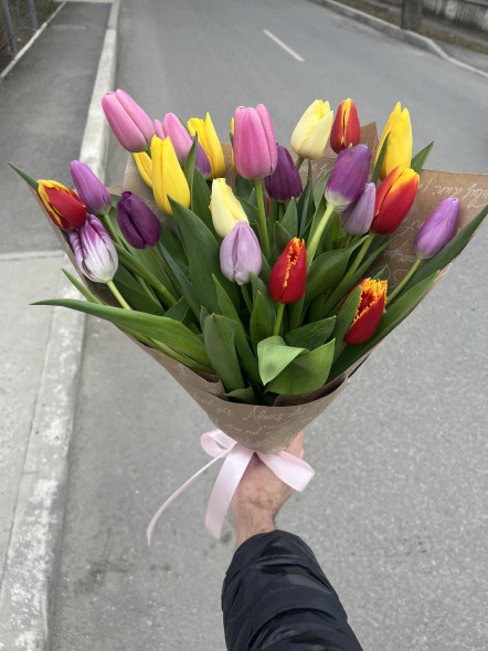 25 тюльпанов микс в упаковке в Евпатории