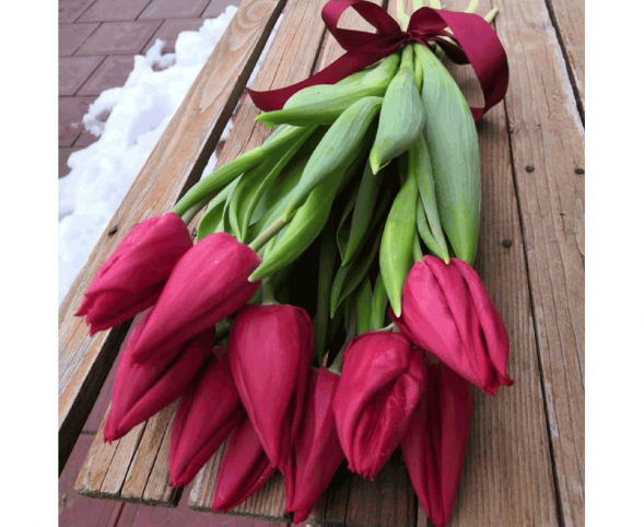 11 красных тюльпанов, лента в Евпатории