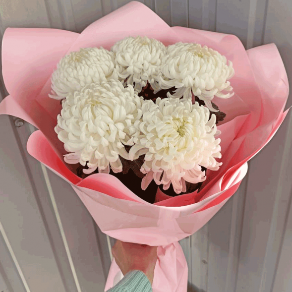 Букет 5 одноголовых хризантем в Евпатории