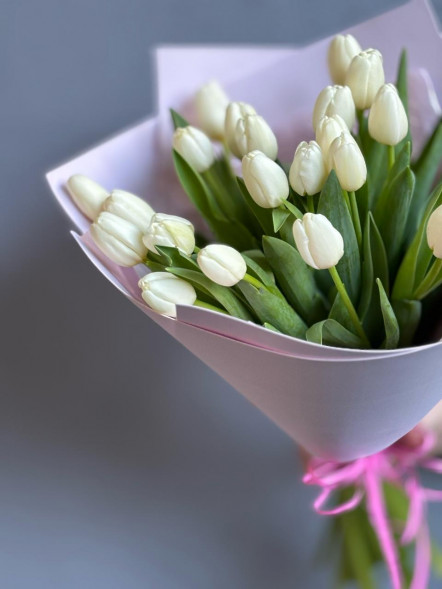 21 белый тюльпан в Евпатории