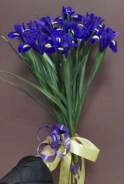 Букет 11 ирисов  в Евпатории