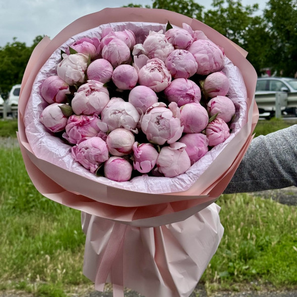 29 пионов &quot;Сара-Бернар&quot; в нежно-розовой упаковке в Евпатории