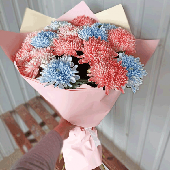 15 одноголовых хризантем микс в Евпатории