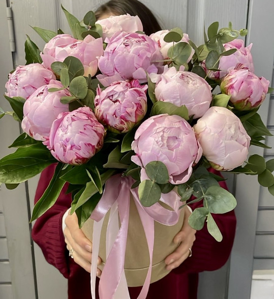 Пионы 13 шт. в шляпной коробке в Евпатории