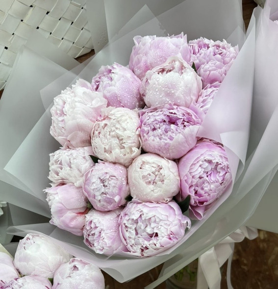 15 пионов Сара Бернар в Евпатории